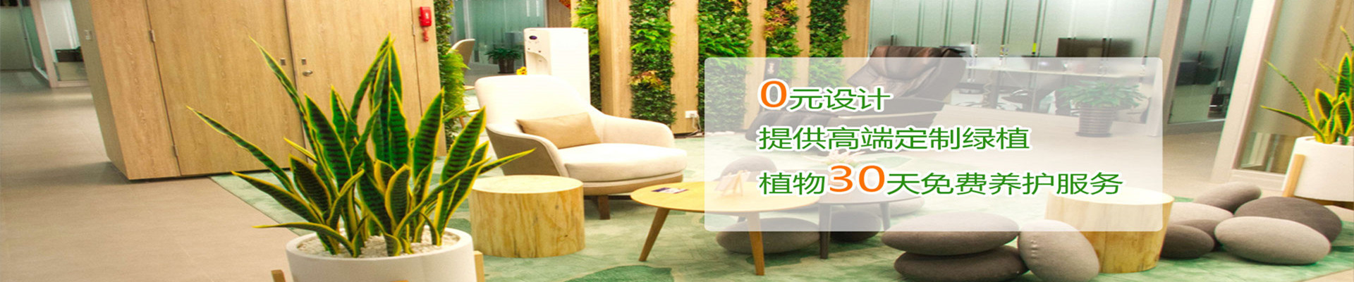 花卉绿植养护