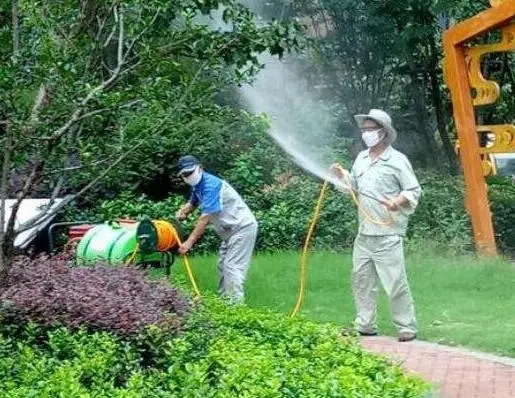 1707278306577939.png image.png