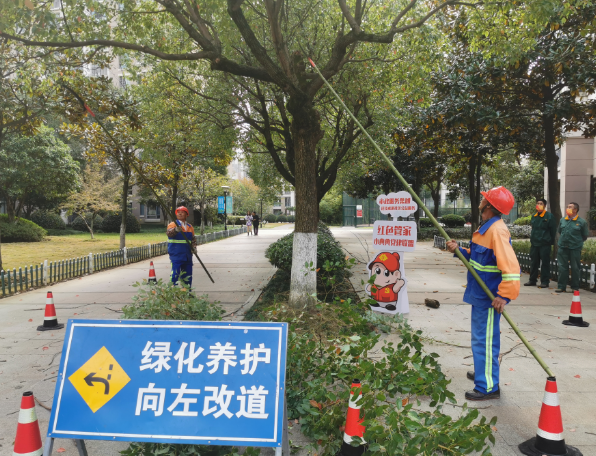 西安工业园区园林绿化公司|碧盛园艺