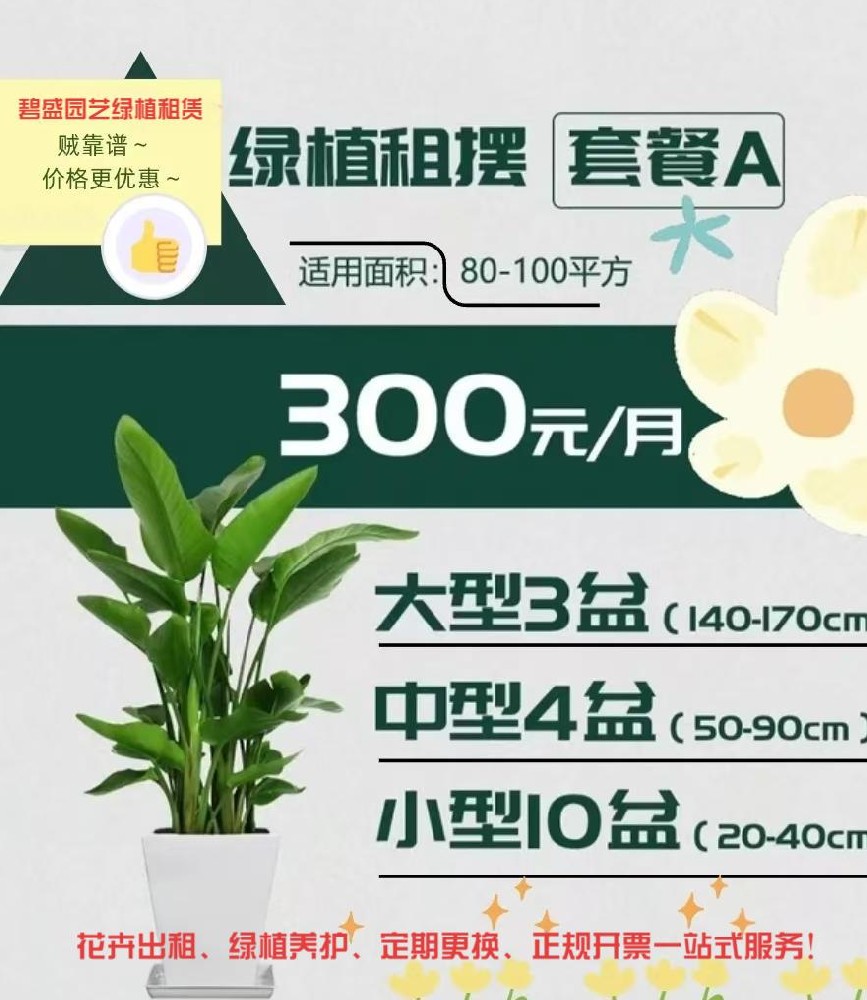西安100平米办公室绿植租赁套餐