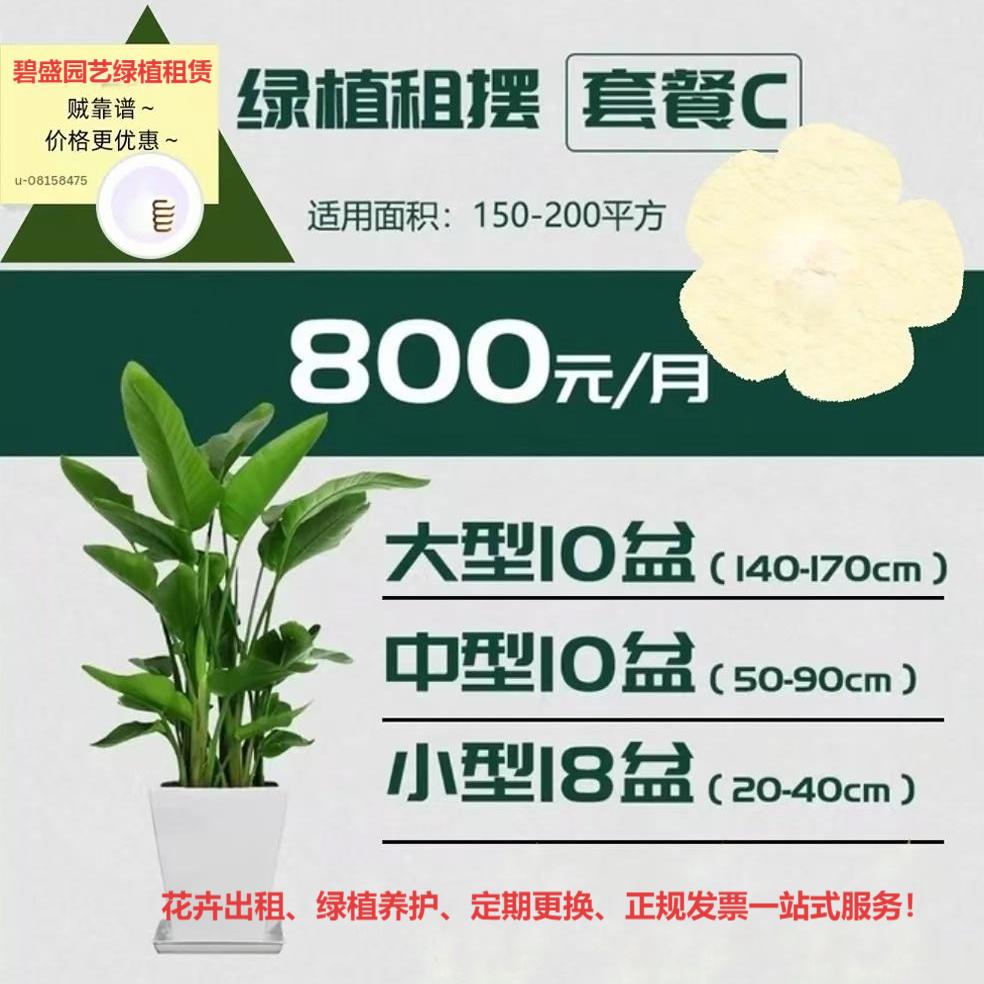 西安150平米至200平方米办公室绿植租赁套餐