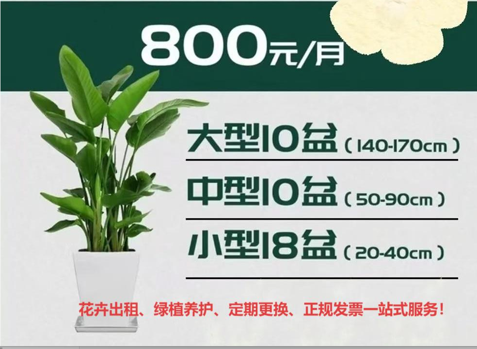 西安500平方米办公室绿植租赁价格