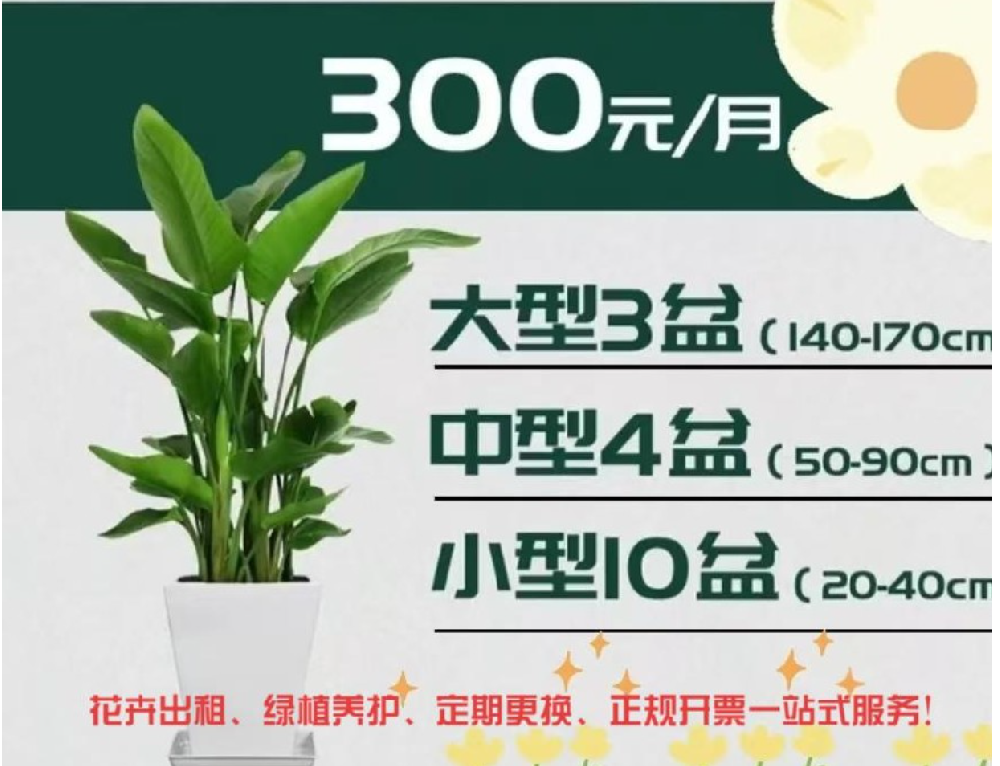 西安200平米办公室绿植租赁套餐