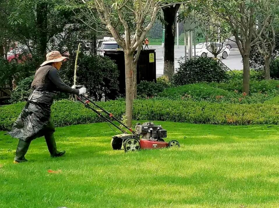 西安公园绿化养护|西安碧盛园艺